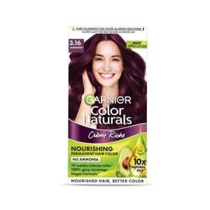 Garnier Color Bur.No-3.16 Small Each