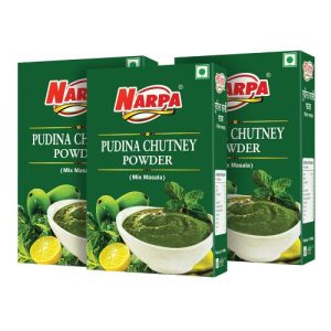 Narpa Chutney Pudina 100 G