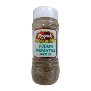 Roopak Pudina Paratha Masala 100Gm