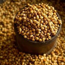 BS Dhania Sabut 250 G