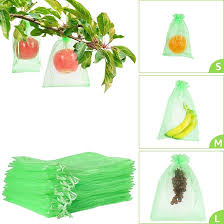 Fruit Bags Each